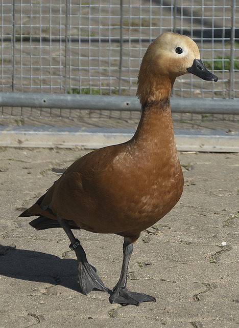 现了三项重